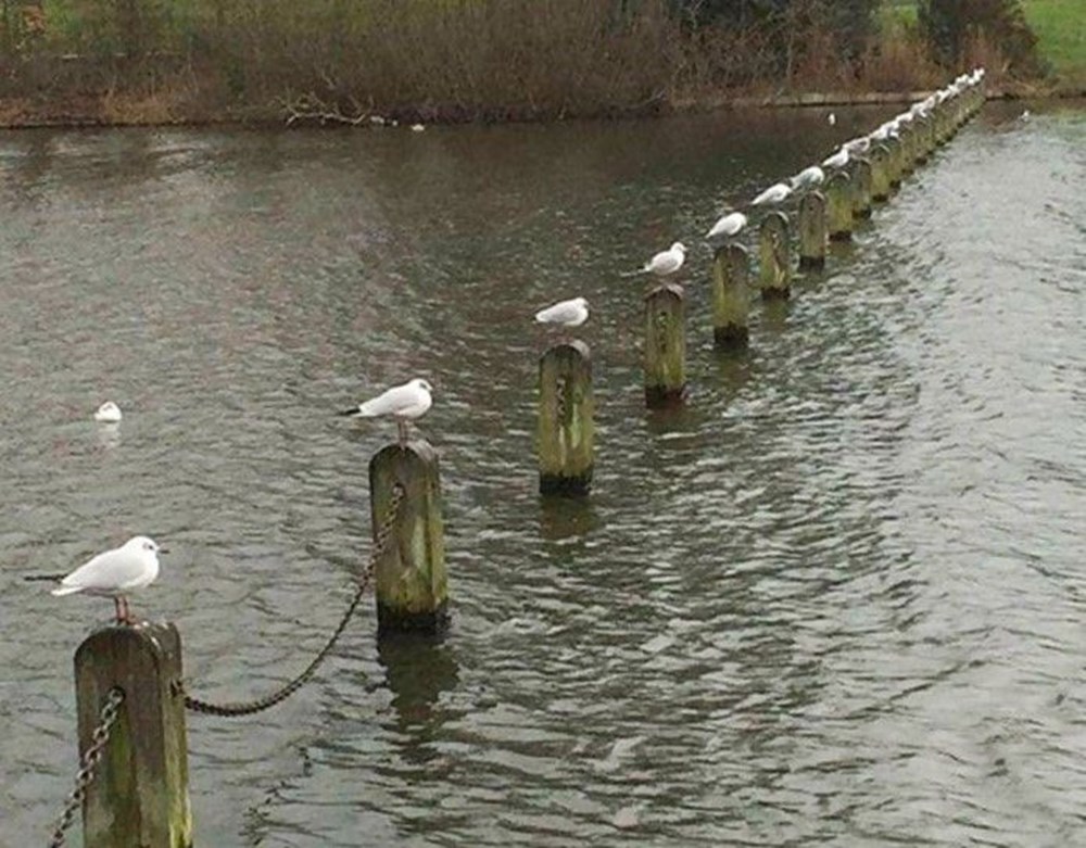 A4vdvV5q5Uq76ad5JdK5Hw.jpg?width=1000&mo