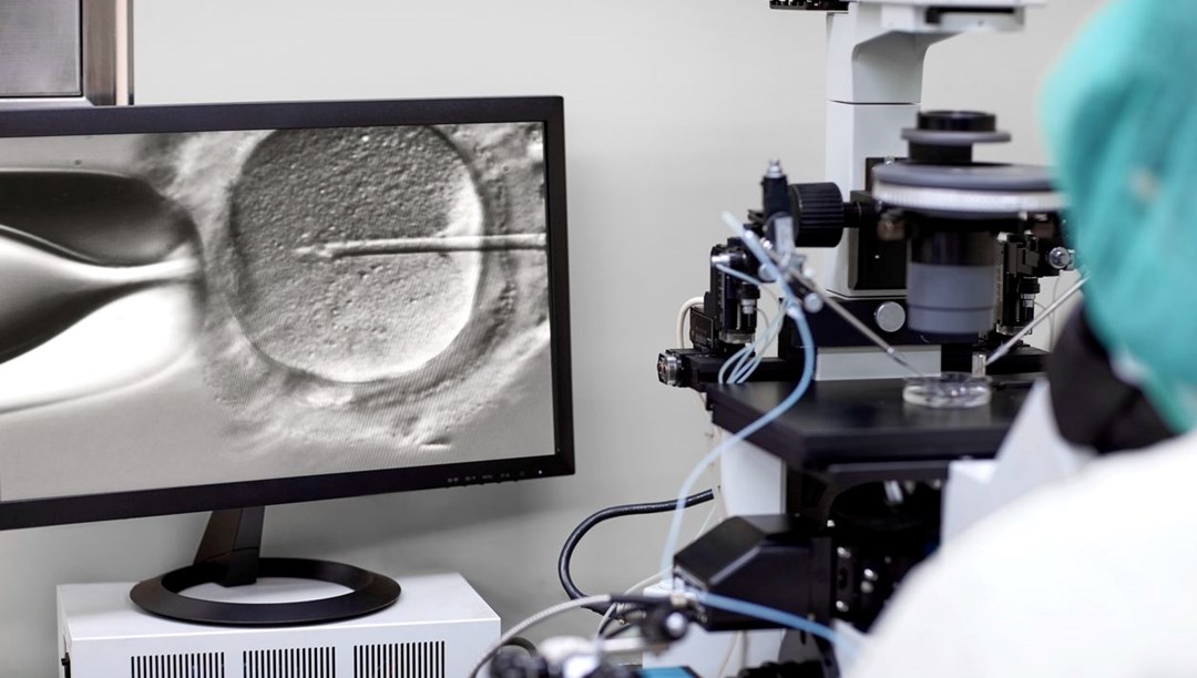 Kadın doğum kliniğinde akılalmaz ticaret: Para karşılığı yumurta satışı