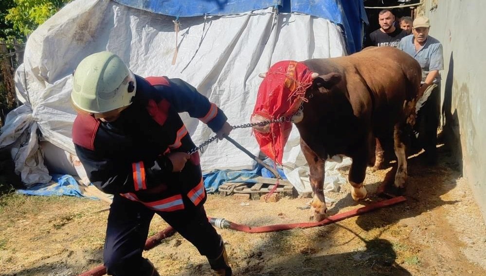 Malatya'da ahır yangını