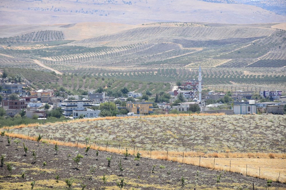 Silahlı 'fıstık' nöbeti: Kilosu 170 lira - 9