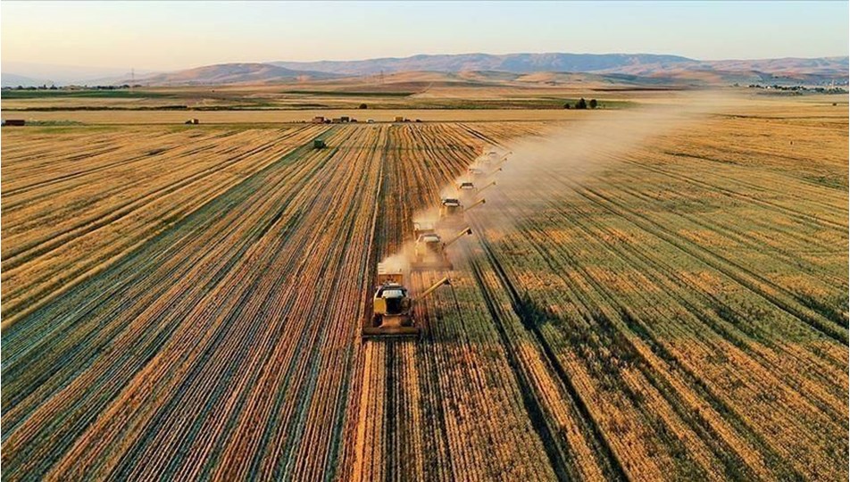 Çiftçilere 251 milyon TL destek ödemesi