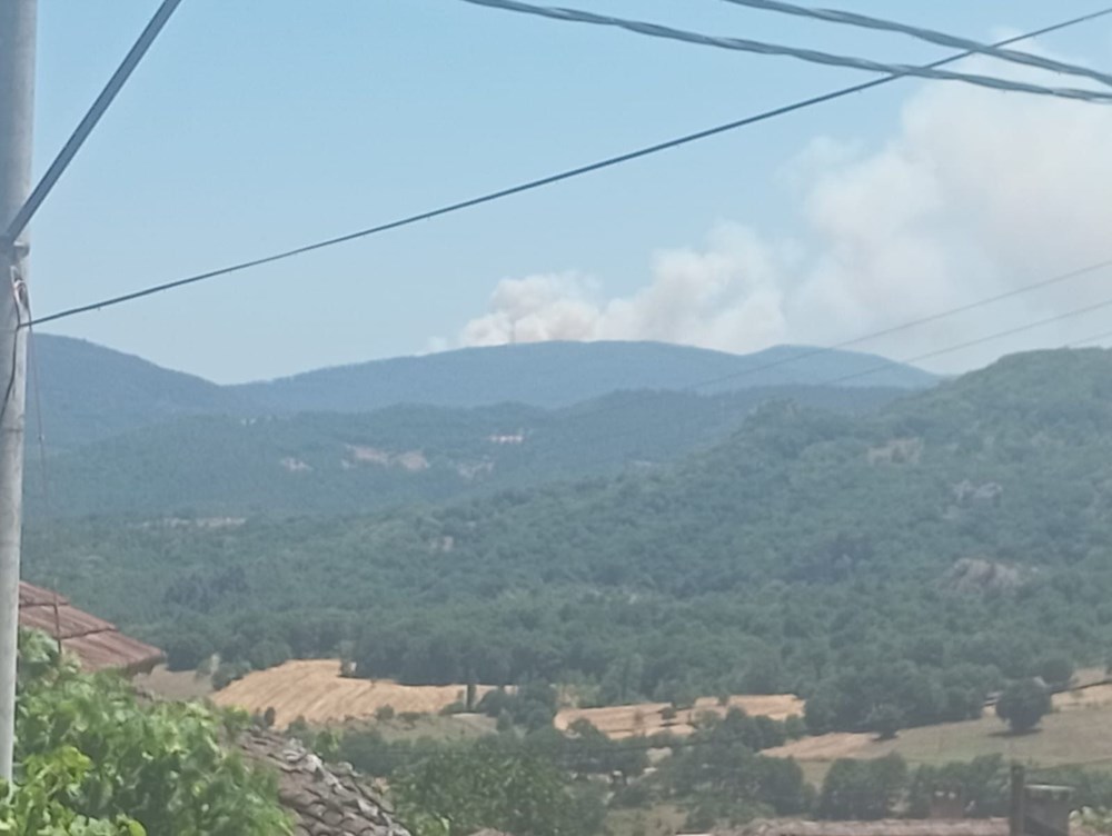 İzmir Çeşme'de orman yangını: Üç mahalle tahliye edildi, karayolu kapatıldı - 11