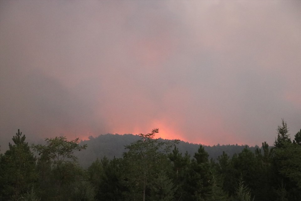 Ankara ve Denizli'de orman yangını - 1
