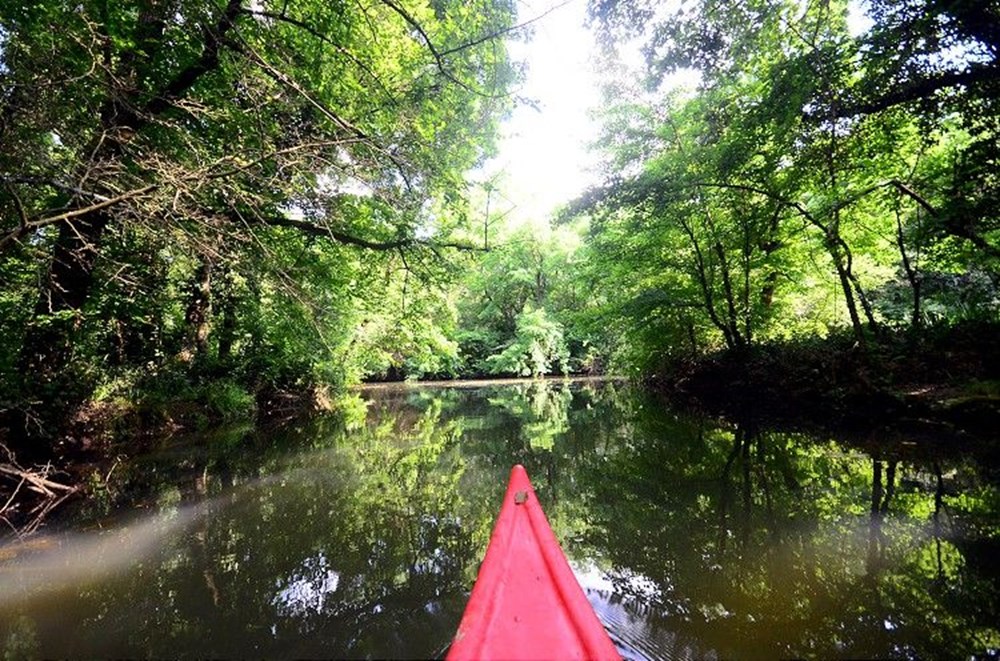 İstanbul çevresindeki en iyi kamp alanları - 25