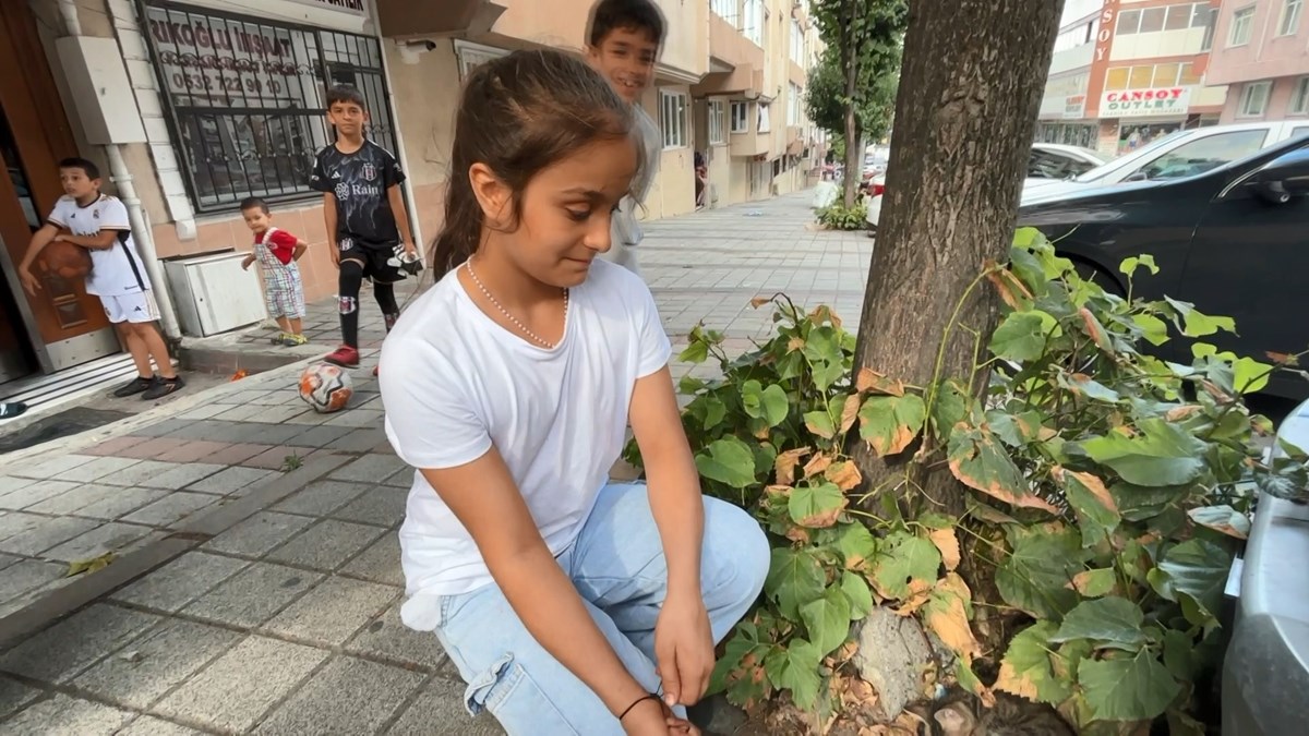 Sosyal medyada tepki çeken görüntüler: Yavru kediyi balkona fırlattılar