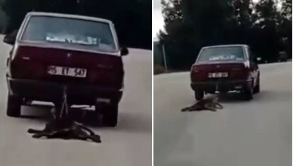 Otomobilin arkasına bağladığı köpeği sürükledi