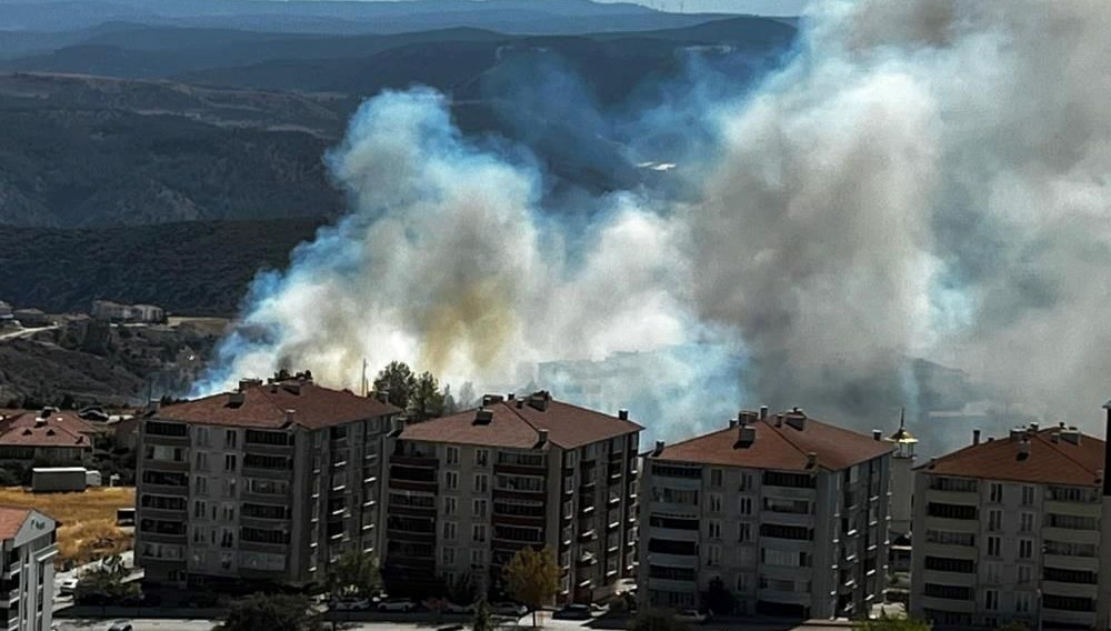 Salça ateşi Bilecik'i yaktı!