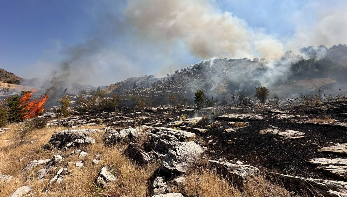 Muğla, Bingöl ve Adana'da orman yangını