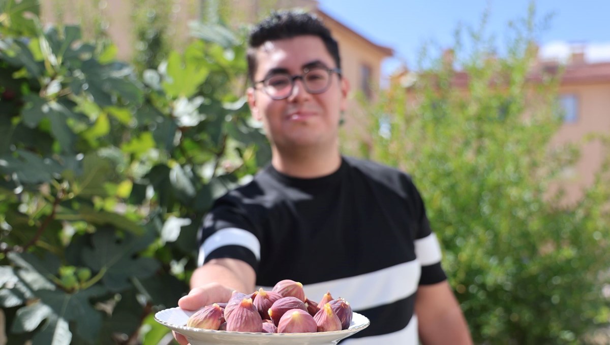 Konya'da yetişmesi zor olan meyveyi apartman bahçesinde yetiştirdi