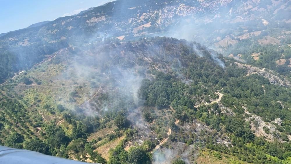Antalya, Çanakkale, Manisa, Balıkesir, İzmir ve Kütahya’da orman
yangını - 4