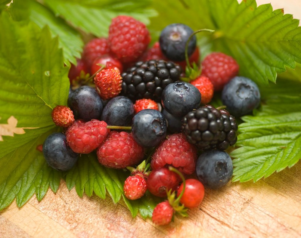 American gastroenterologist explained: 7 foods for the intestines - 7