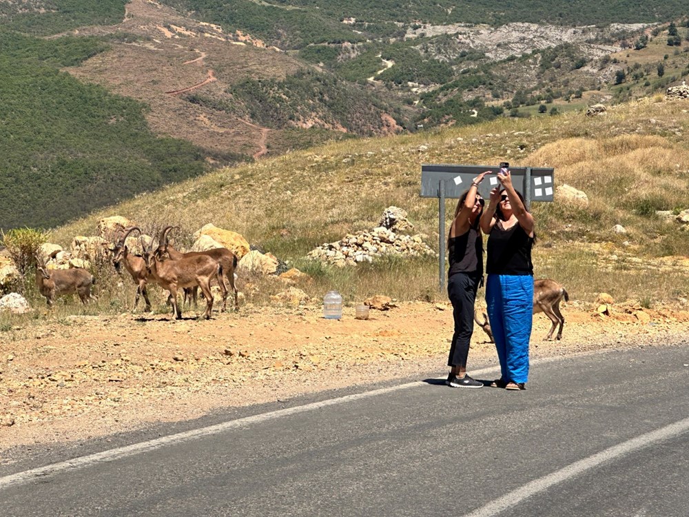 Tunceli'de ölümcül uyarı: "Yolda gördüğünüz an uzak durun!" - 8