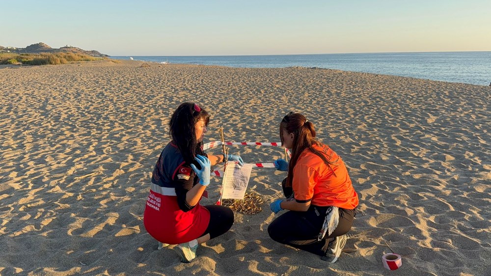 Koparmanın cezası 557 bin TL: Koruma altına alındı - 3