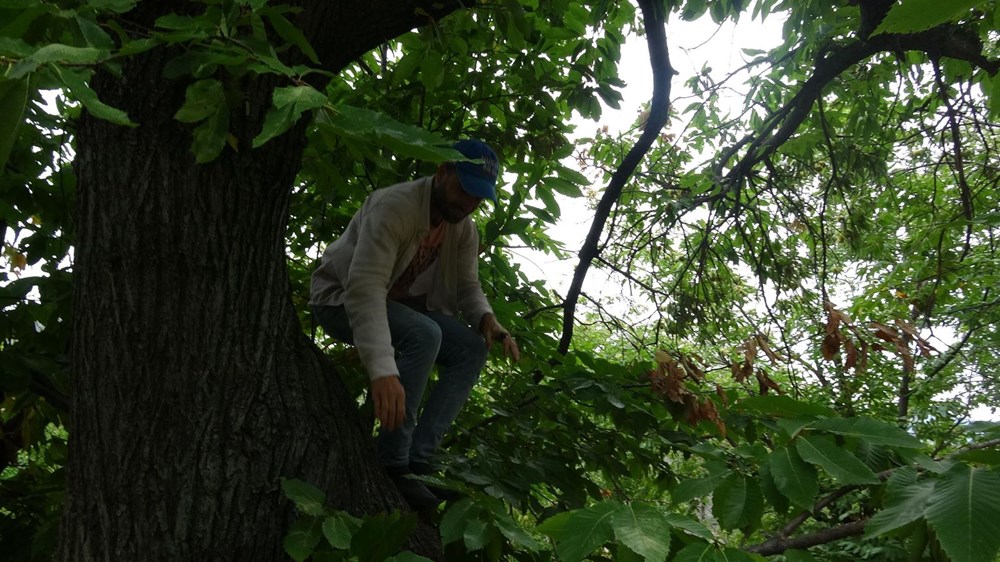 Herkes bu işi yapamıyor, günlüğü 400 lira - 5