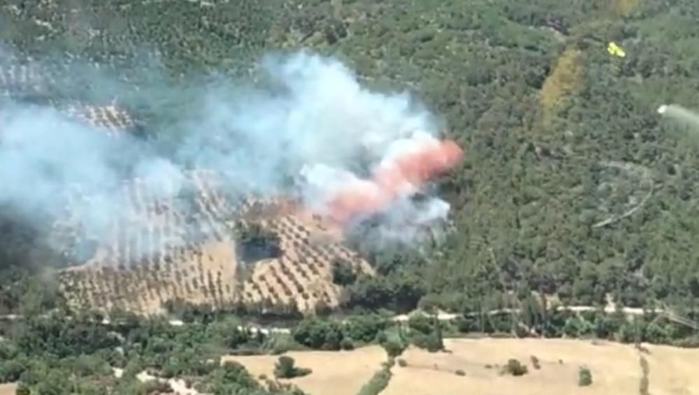İzmir Bergama'da orman yangını - 3