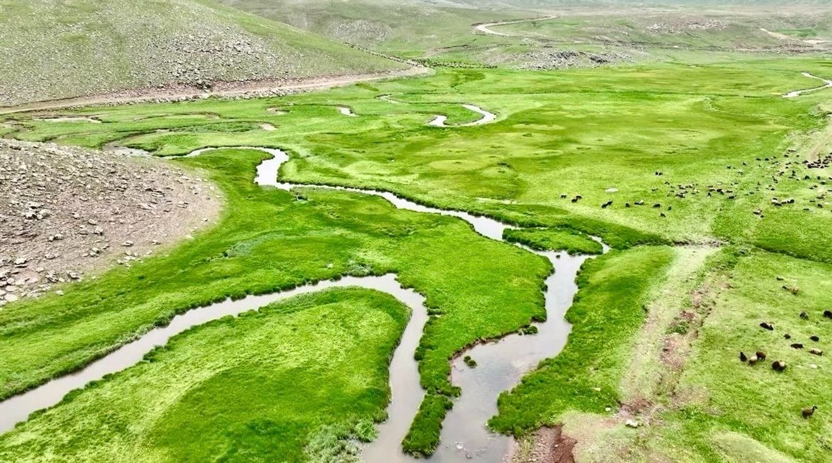 Ağrı'nın volkanik platolarındaki menderesler görsel şölen oluşturuyor