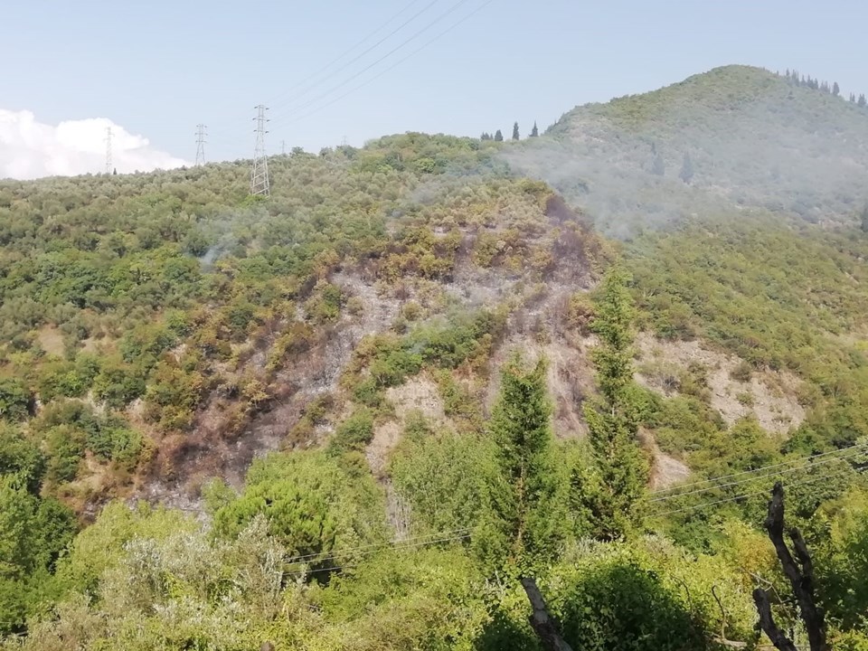 Kocaeli'de orman yangını: 1 gözaltı - 1