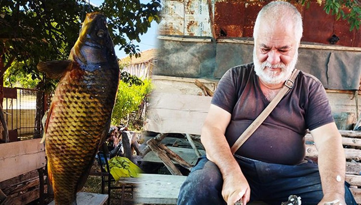 Doğal havuzda 5 buçuk kiloluk sazan avladı Doğal havuzda 5 buçuk kiloluk sazan avladı