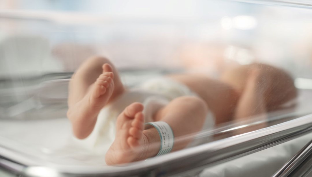 TÜİK 2024 verilerini açıkladı: Doğum hızı düşüyor