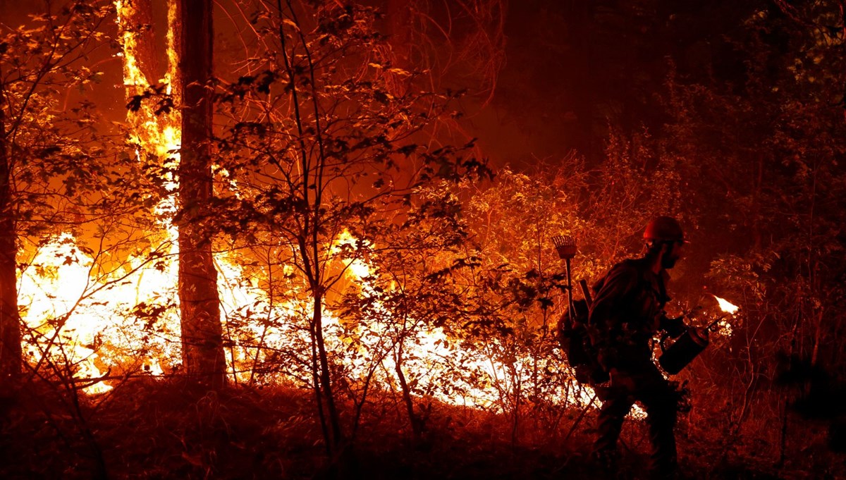 Kaliforniya'da orman yangınları sürüyor