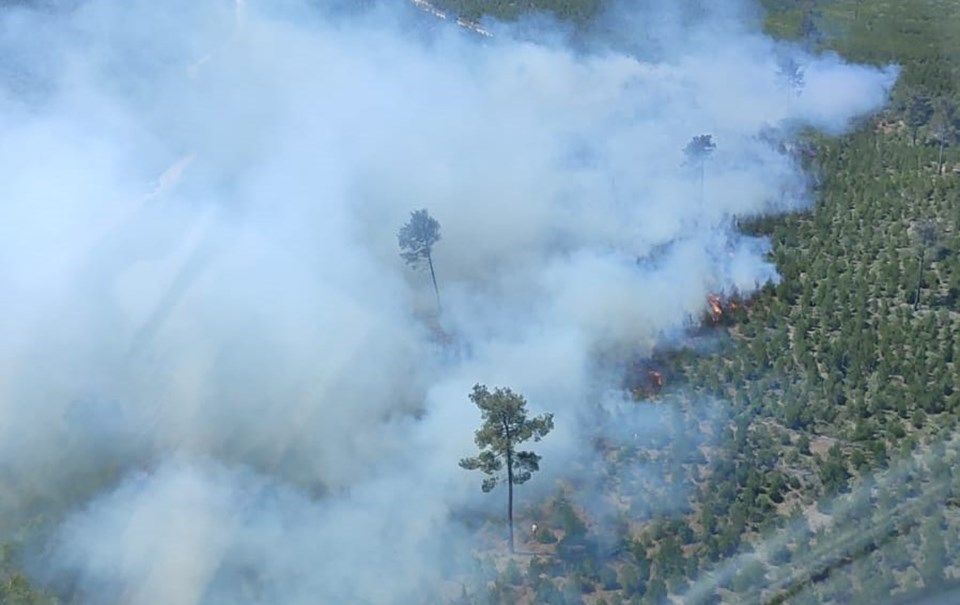 Aydın, Edirne ve Manisa'da yangın - 2