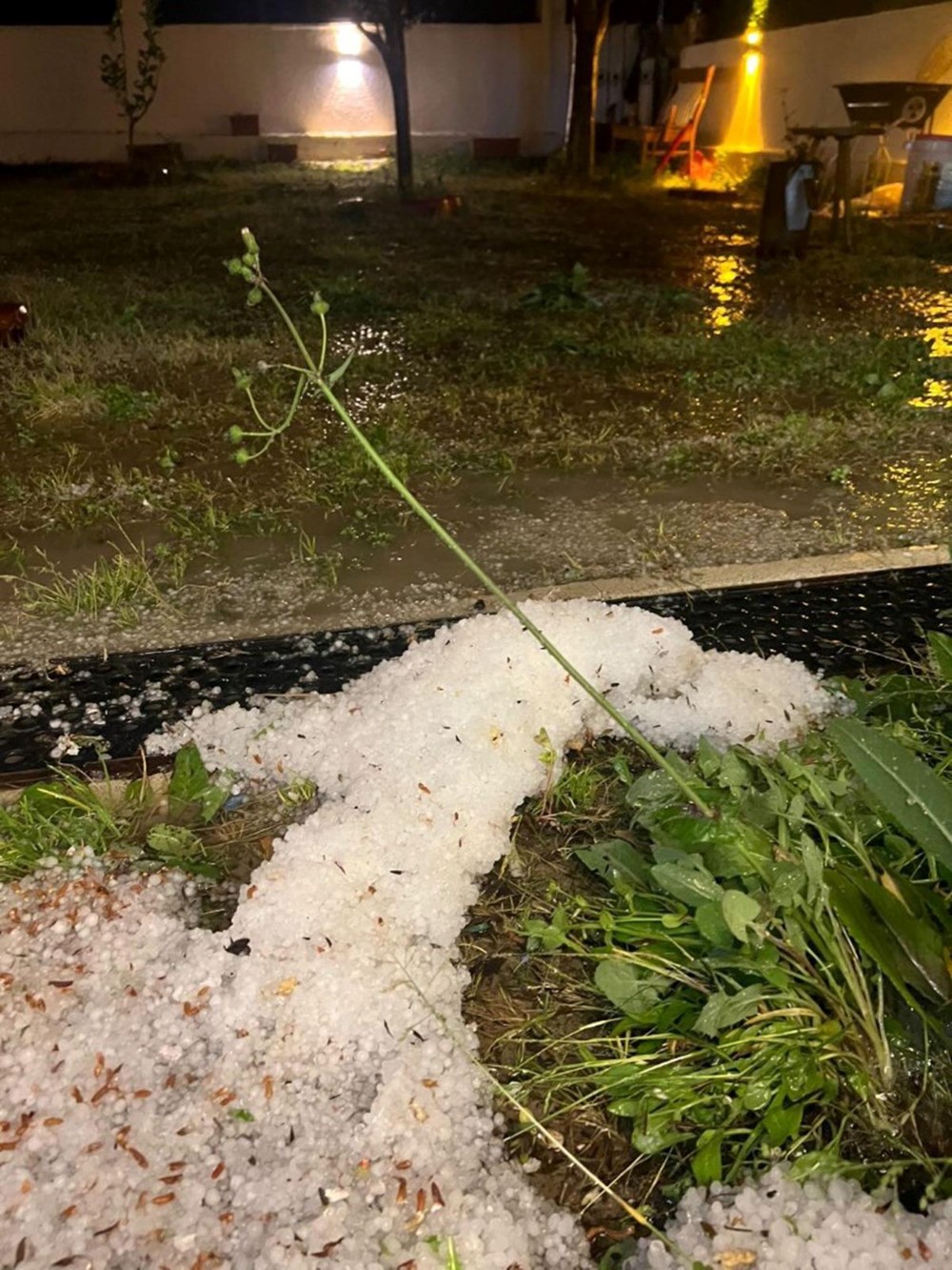 Ege Beyaza Boyandı: Fırtına Ağaçları Devirdi, Caddeleri Buz Pistine Çevirdi 77 ARU58N7aT0uCtyHiStAlYQ