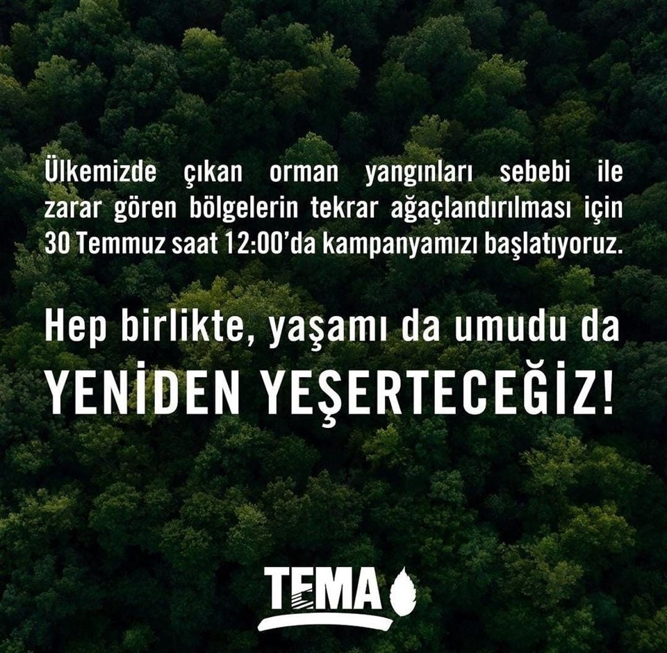 TEMA Vakfı'ndan fidan bağışı kampanyası (TEMA Vakfı fidan bağışı nasıl yapılır?) - 1