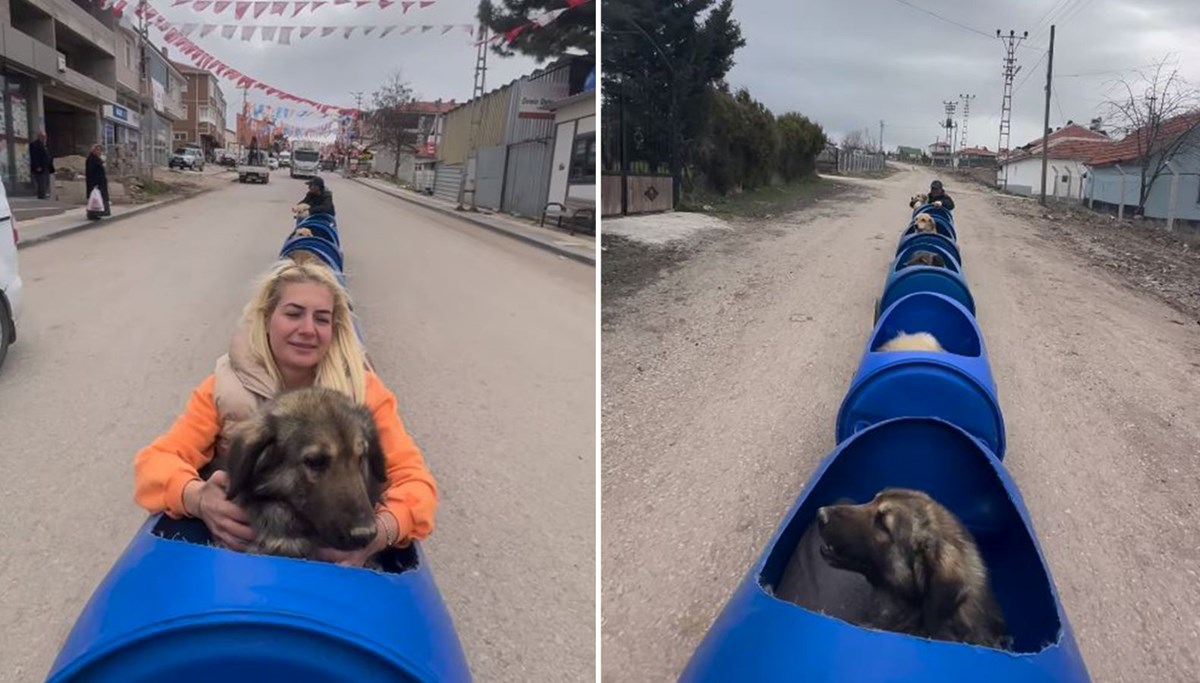 Ankara'da engelli köpekleri varillerden yaptığı trenle gezdirdi