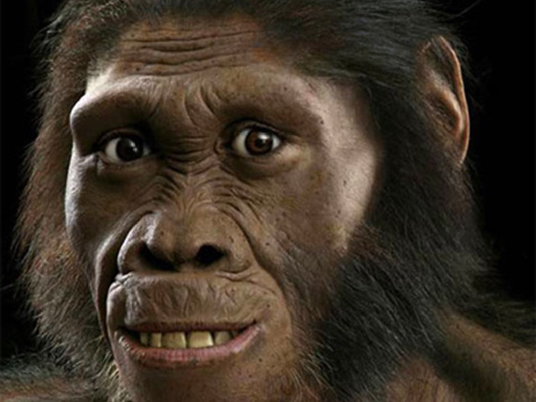 maymundan insana gecisin temsilcisi ntv