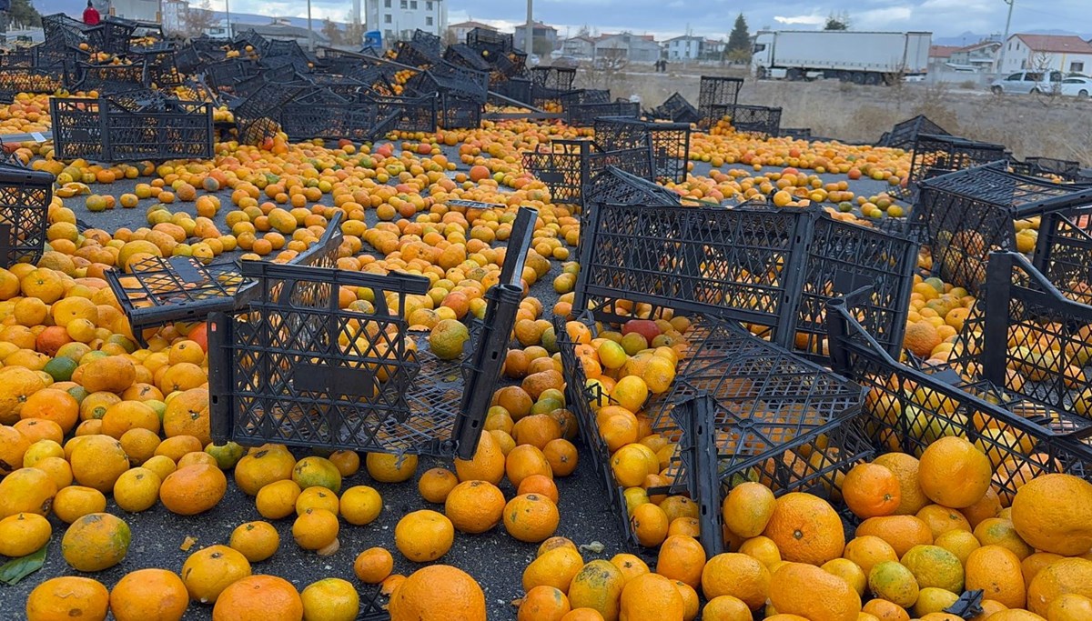 Dökülen 10 ton mandalina, kara yolunu ulaşıma kapattı!