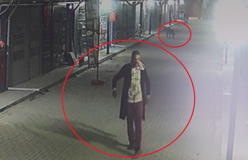 Hatay'da vahşet! Kedileri köpeklere parçalatan kişi gözaltına alındı - 2