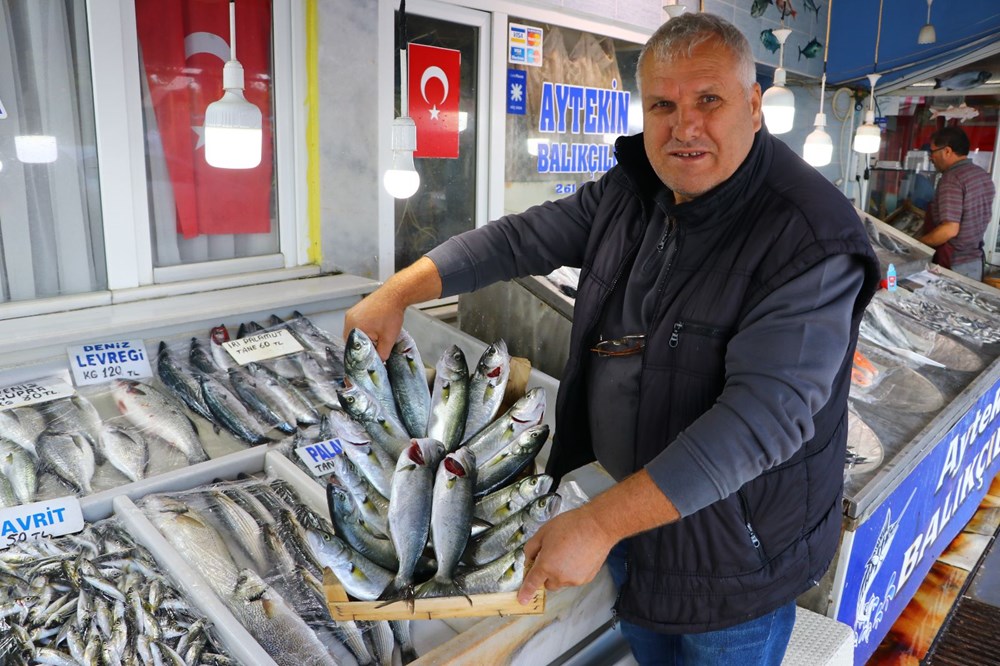 Marmara Denizi'nde lüfer bolluğu - 12