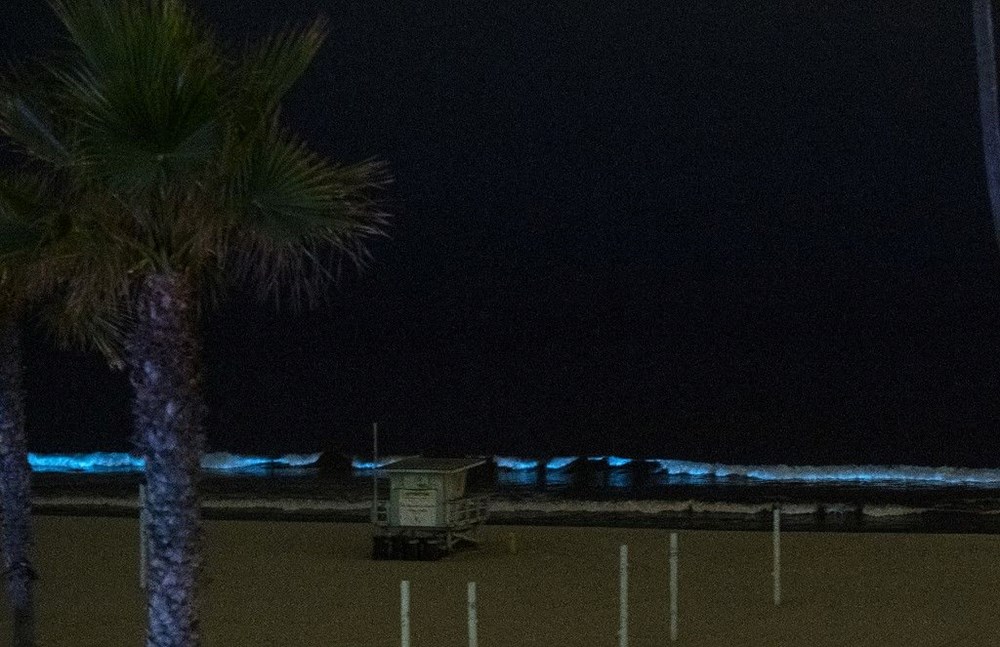 Kuzey ışıkları yeryüzüne indi: Yeni Zelanda'da 'deniz aurora'sı gözlemledi - 2