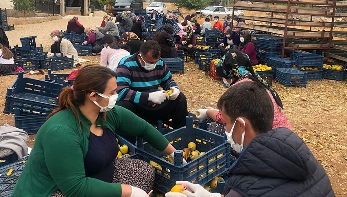 Çamaşır ipine asarak başladı, şimdi siparişlere yetişemiyor