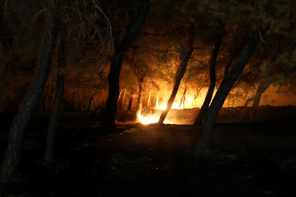 İzmir Bergama'da orman yangını - 7