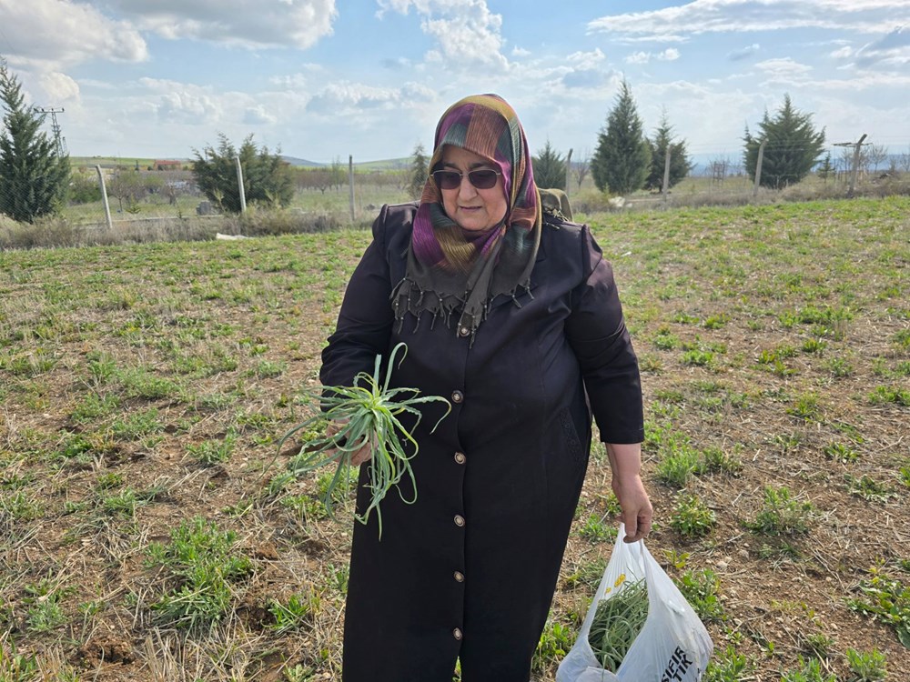 Kolesterol düşürücü özelliği varmış, ilkbaharda toplanıyor: Her yerde yetişen bitki 75