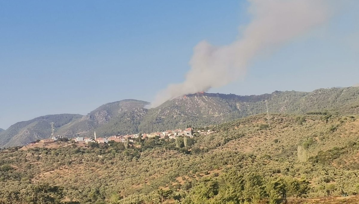 Muğla'da orman yangını