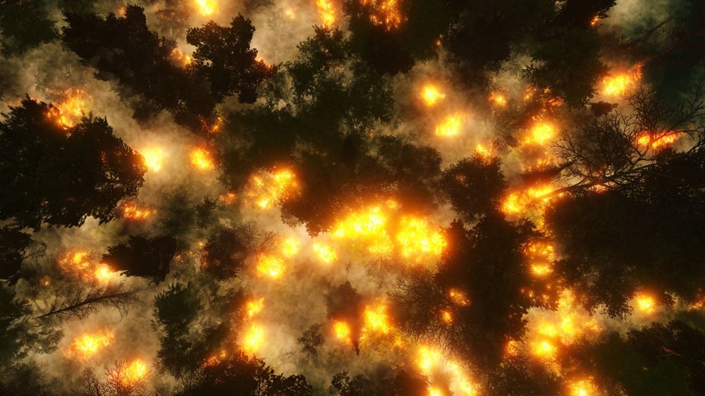 Dünyadaki bitkilerin beşte ikisi yok olma tehlikesiyle karşı karşıya - 6