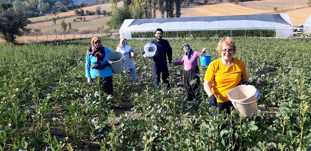 Pazarda 180, kendin toplarsan 80 lira! Sabah saatlerinde akın ettiler - 1