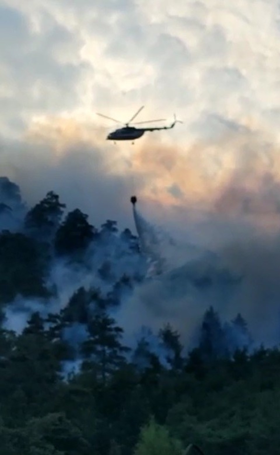 Adana'da orman yangını - 1