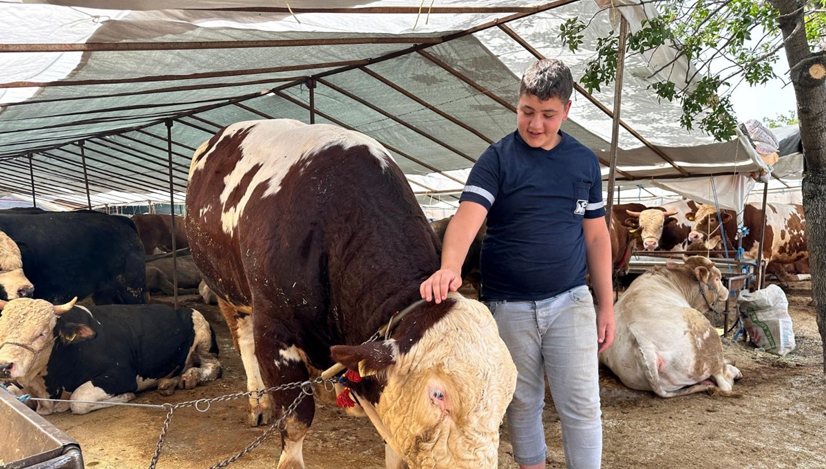 Kurban pazarının şampiyonu!