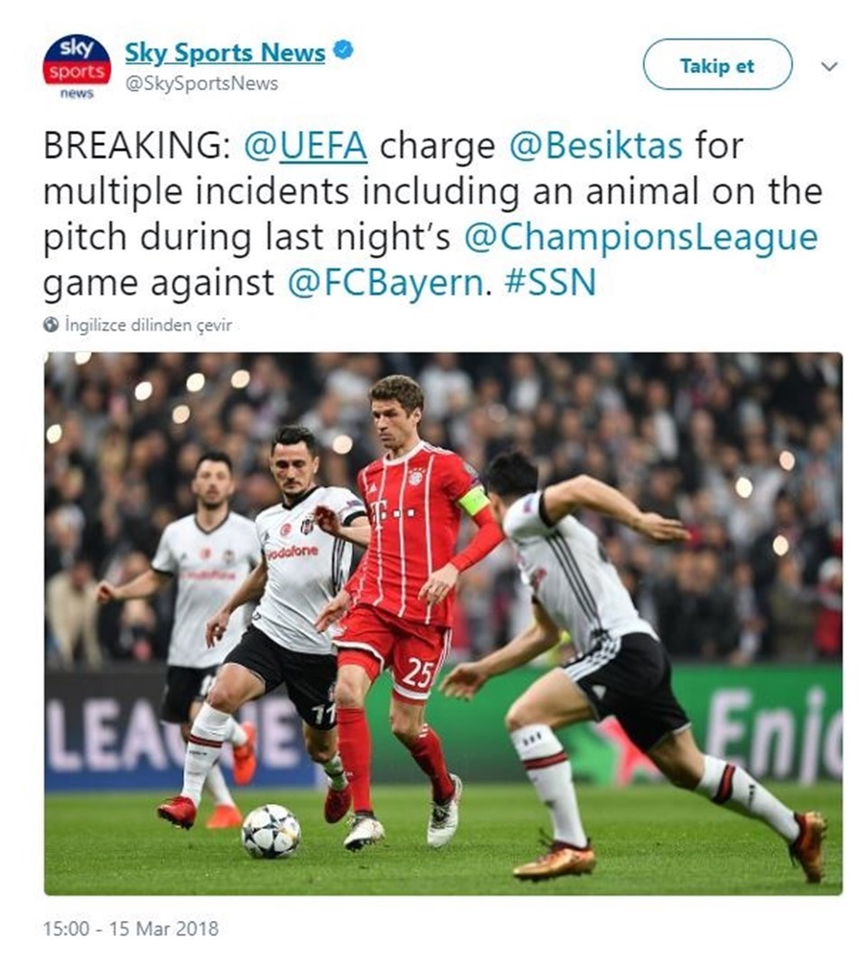 UEFA'dan Beşiktaş'a 'kedi' soruşturması - 1