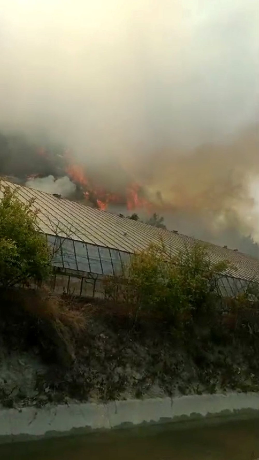 Bursa, Muğla ve Antalya'da orman yangını - 4