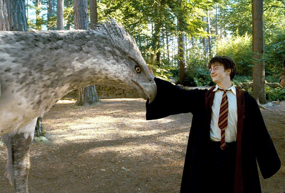 Serinin en iyisi kabul ediliyor: Harry Potter ve Azkaban Tutsağı'nın yönetmeni yıllar sonra itiraf etti - 8