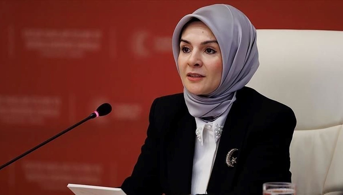 Bakan Göktaş: Bakan Göktaş: