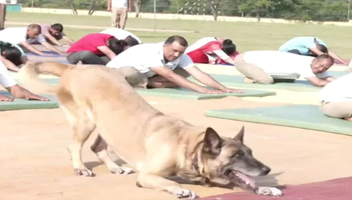 Hindistan'da Uluslararası Yoga Günü'nden renkli görüntüler