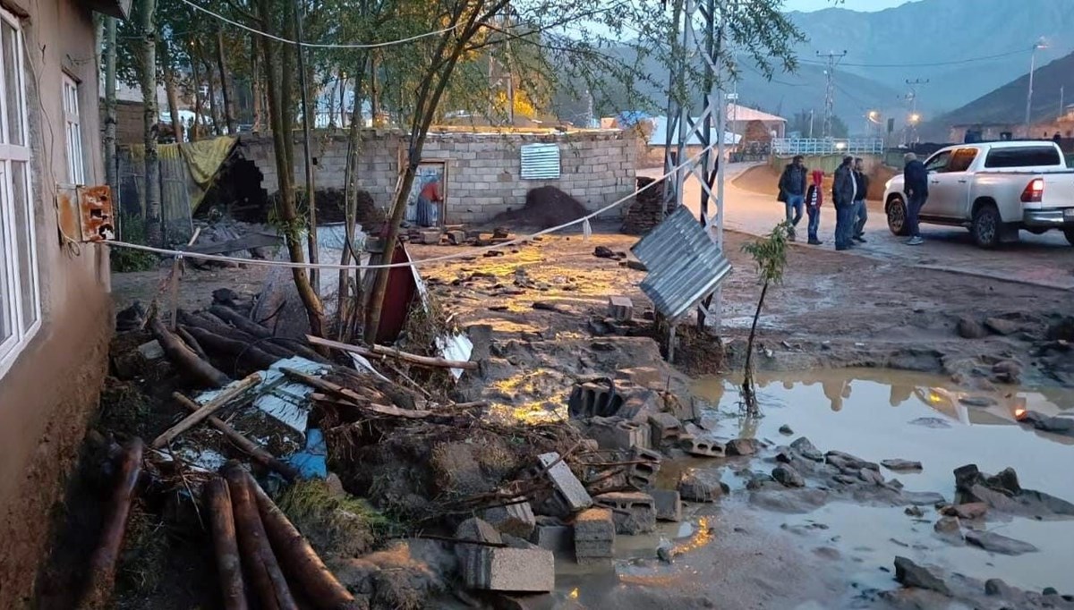 Van'da sel felaketi: Onlarca hayvan telef oldu