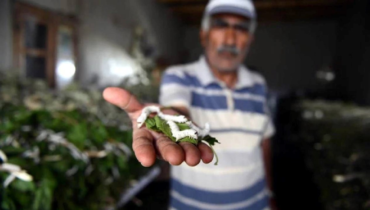 İpeğin merkezi Diyarbakır