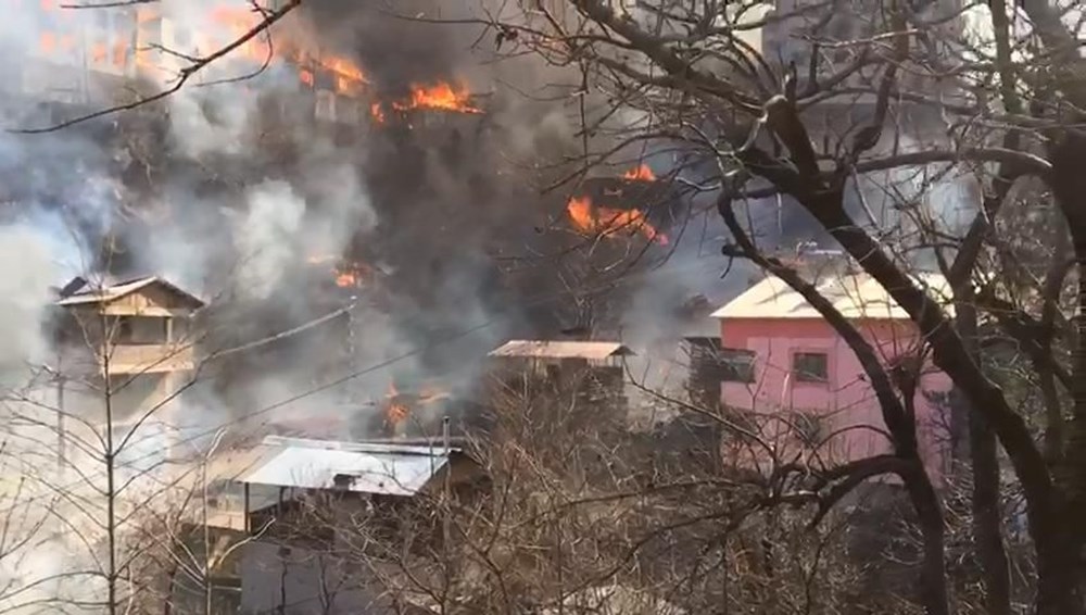 Artvin'deki yangın kontrol altında - 14