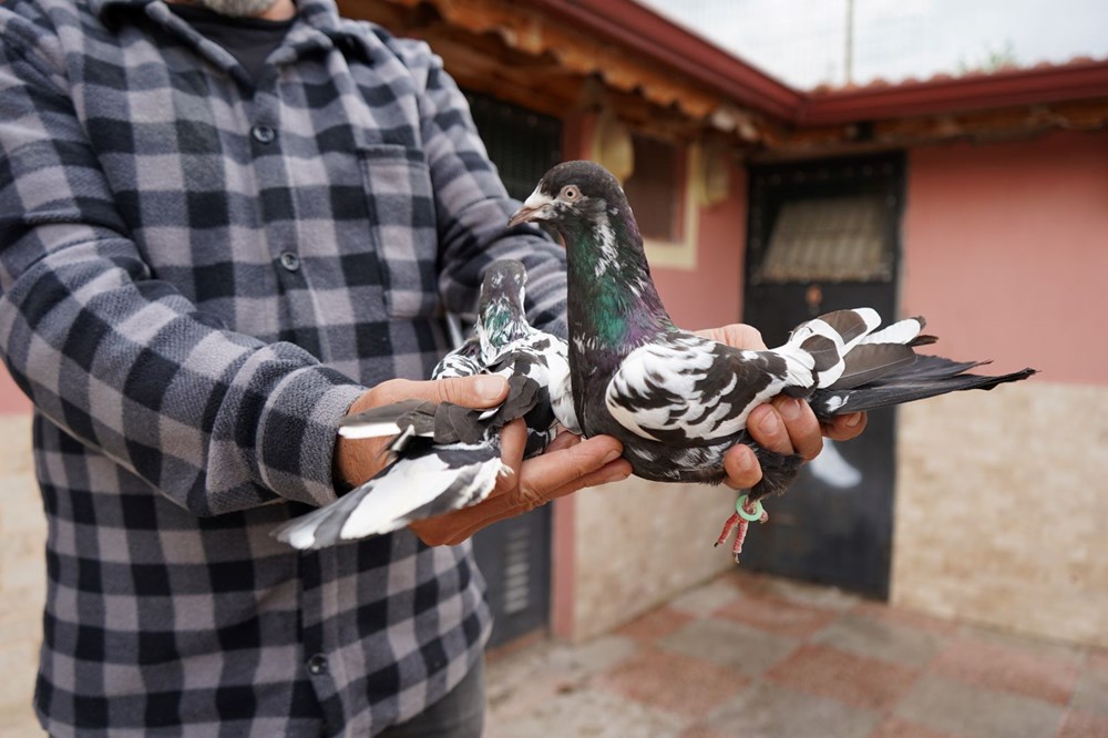 42 yıllık hobisi, profesyonel tesise dönüştü: Vilayet dışından da ağır talep var 72 AjxKCDSC8kePcV7R8q yPQ